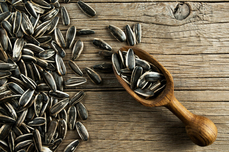 Top 5 healthy foods to eat to boost fertility